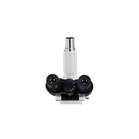 Buy OMAX 40X-2000X Trinocular Phase Contrast Compound Microscope with ...