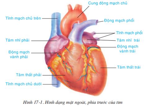Image result for HTML Tutorial Exercise