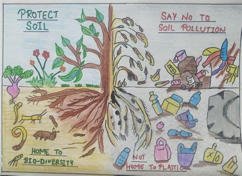 Why Do We Need To Conserve Soil Erosion at Lara Caley blog