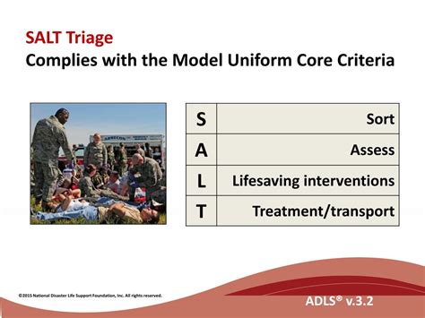 PPT - Mastering Mass Casualty Triage: Strategies & Frameworks for Public Health Emergencies ...