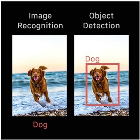 Computer Vision Tutorial 的图像结果