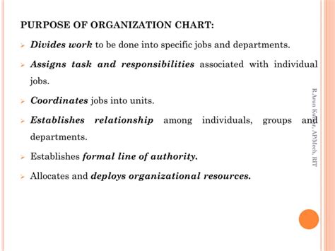 Organization. Examples 的图像结果