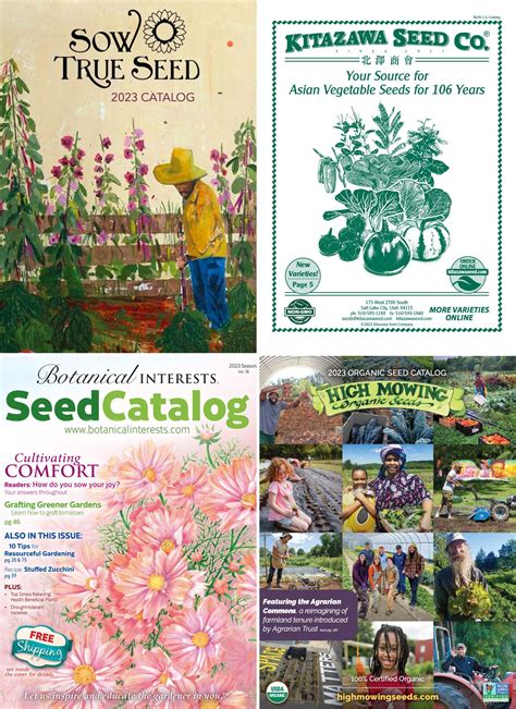 The Best Seed Catalogs to Request in 2026 - Garden Betty | Seed ...