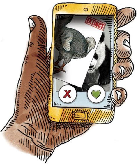 Good while it lasted - IV: Anthropocene epoch & mass extinction