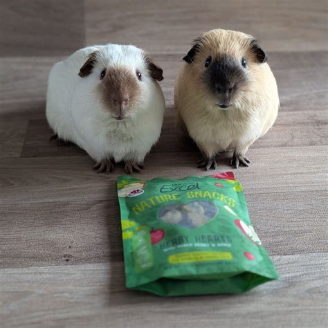 Burgess Excel Nature Snacks Herby Hearts Guinea Pig Treats – Everything ...