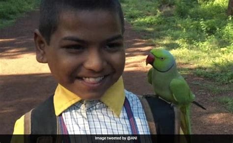 जंगली तोते की बच्चों से हुई अनोखी दोस्ती, हर रोज साथ जाता है स्कूल, साथ ...