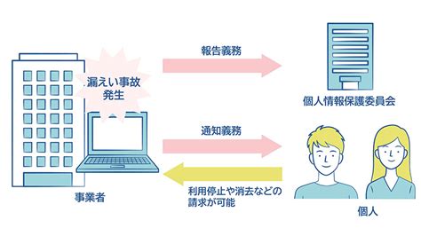 Image result for Examples Appendix in a Project