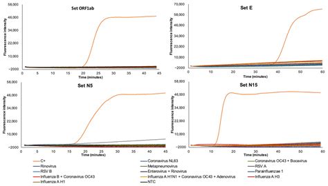 A Simple, Affordable, Rapid, Stabilized, Colorimetric, Versatile RT ...