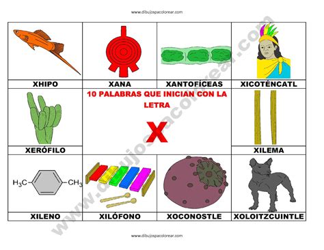10 palabras u objetos que inician con la letra X