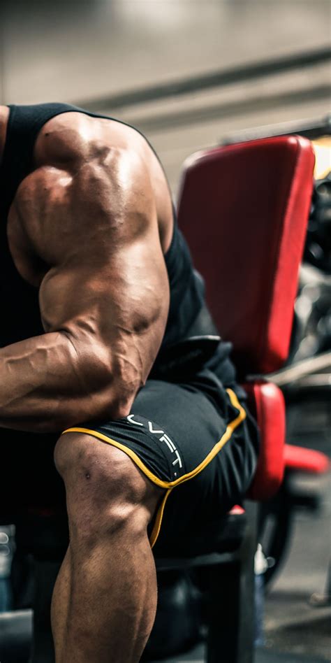 Download wallpaper Bodybuilding, Jeremy Buendia, Mens Physic, section ...