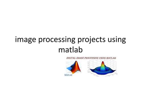 Image Processing Projects Using MATLAB 的图像结果