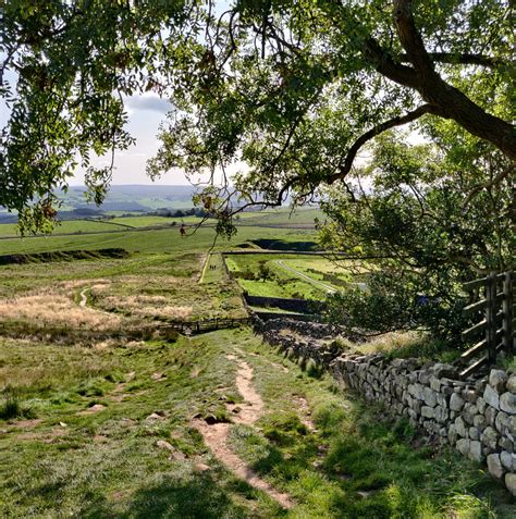 Sycamore Gap • Kielder, Hadrians Wall & Hexham • Walks with the Wife