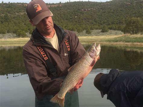 Fish Utah -- Division of Wildlife Resources