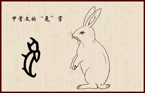 十二生肖之“兔”字解读，带你感受中国文化中的阴柔之美_腾讯新闻