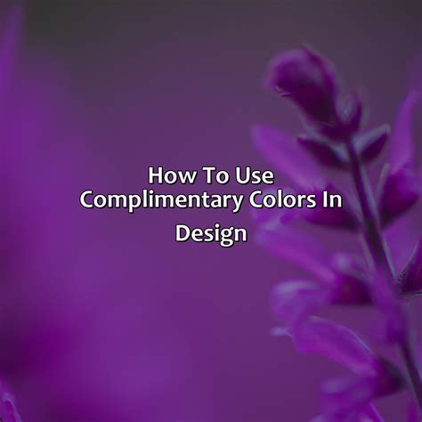 What Color Compliments Purple - colorscombo.com