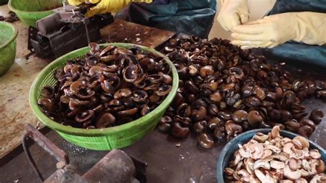 Sun Thermo Process in tiruvannamalai, Raw Material storage in ...