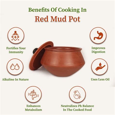 Buy Red Cooking Mud Pot with Lid Online – Organic Gyaan