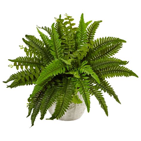 Glory Faux Fern Leaves False Acacia Trees For Sale