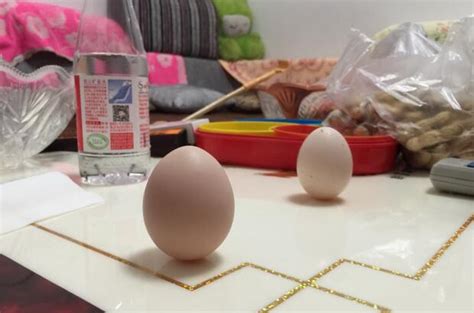 春分立蛋餐饮食材原料24节气摄影图配图高清摄影大图-千库网