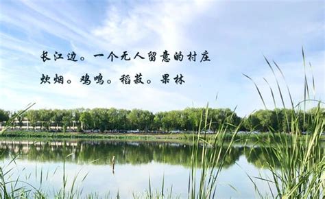 《草堂》一月头条诗人：西川-中国诗歌网