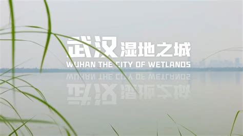 重点展商-武汉水展-湖北水展--中部水展-武汉水博会-武汉智慧水务展-中国武汉水务大会官网-武汉水展