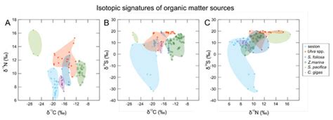 Lagoon Biogeochemical Processing is Reflected in Spatial Patterns of ...
