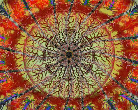 Persistent Vision Animation 的图像结果