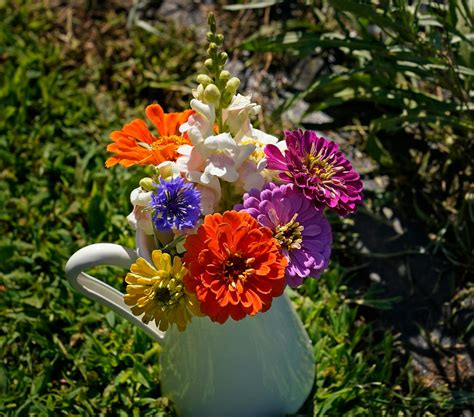 Pick your own flowers at these U-pick flower farms in Minnesota