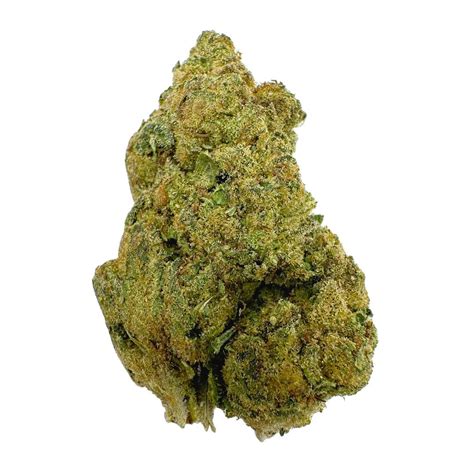 Shop White Lotus Flower Strain | Rewards