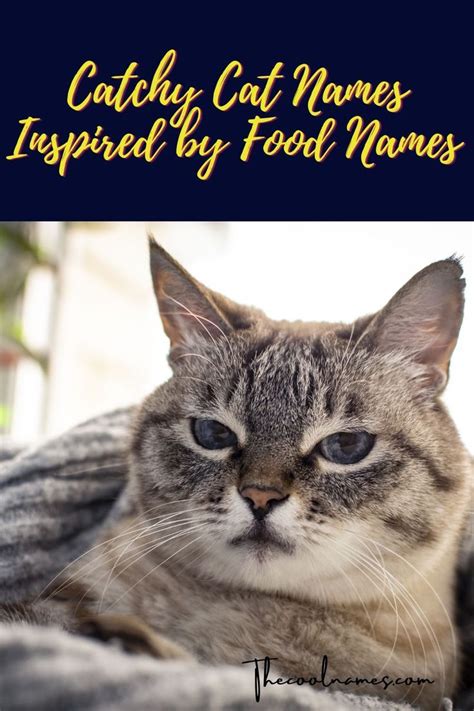 cat food names