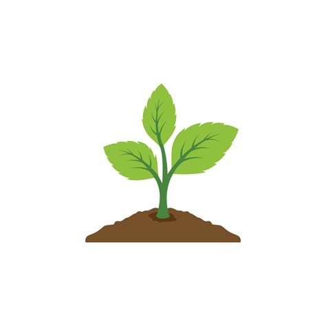 Cartoon Plant Growing