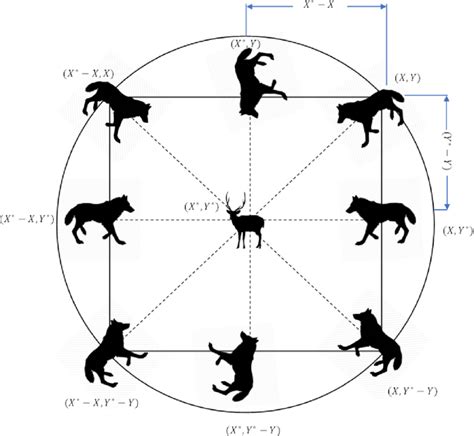 Image result for Position Vectors Video Example