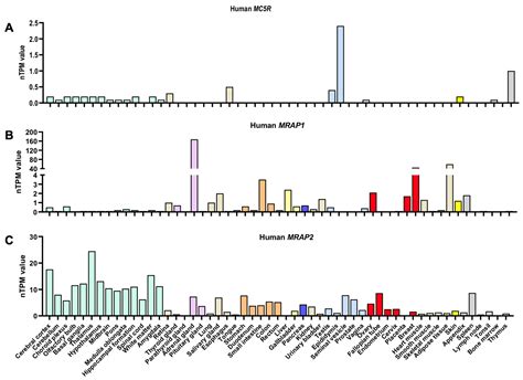 Melanocortin-5 Receptor: Pharmacology and Its Regulation of Energy ...