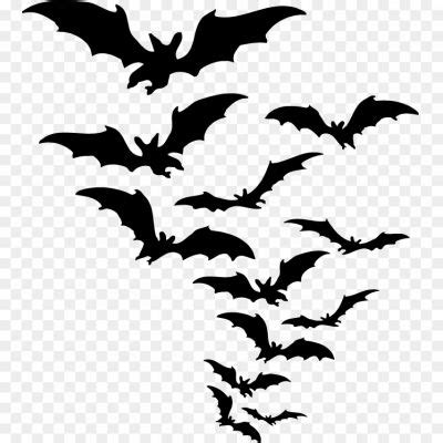 Bat Flying Black Vector PNG XVUUHC - Pngsource