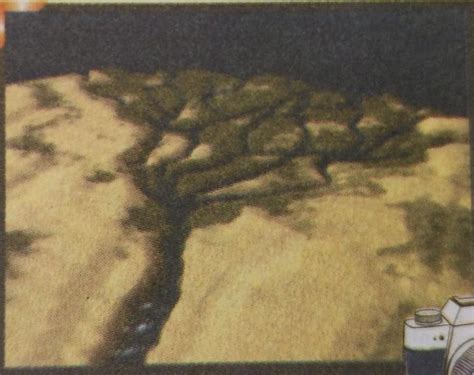 1. Which landform is shown in the image?2. How is it formed?3. Name ...