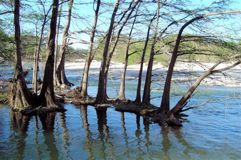 Frio River - Concan, Texas