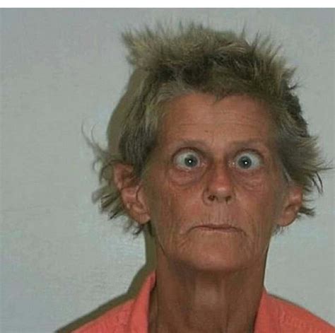 [1000+] Funny Wallpapers | Wallpapers.com