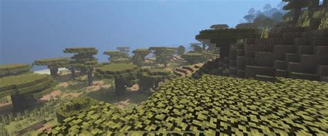 Image result for How to Turn On Shaders Java