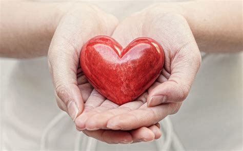 Health Insurance 的图像结果