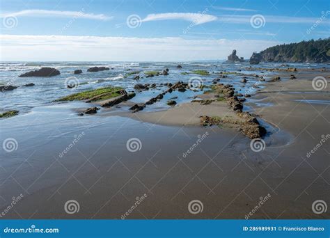 Shi Shi Beach and Seashore in Olympic National Park, Washington. Stock ...