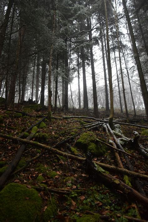 Word Cover Page Template Free Download 的图像结果