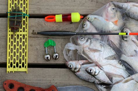 捕鱼 养褐鳟 欢快的钓鱼画 安格勒 库存照片. 图片 包括有 捕鱼, 欢快的钓鱼画, 养褐鳟, 安格勒 - 155753850