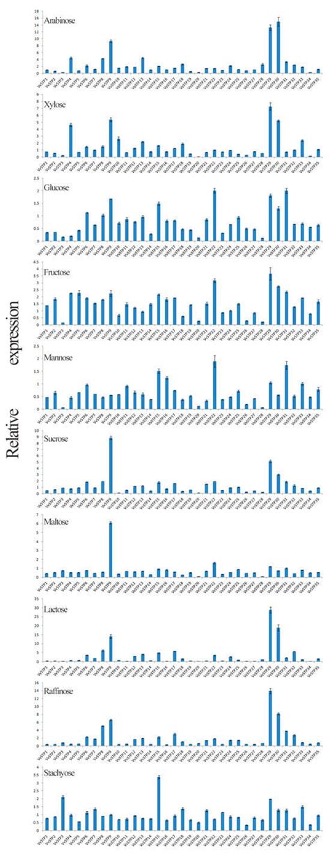 The Identification, Characterization, and Functional Analysis of the ...