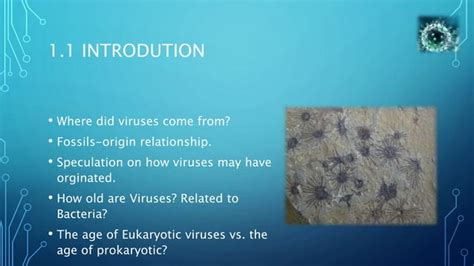 Evolution of Computer Viruses 的图像结果