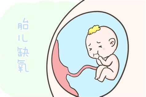 造成胎儿缺氧的这些因素，孕妈别傻傻不知道，早发现早治疗是关键