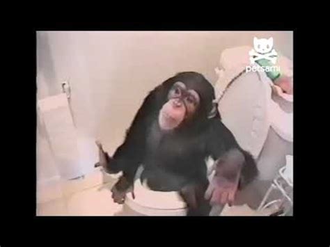 Image result for Alien Monkeys Bathroom
