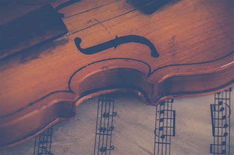 History of the Violin: Its Birth and Evolution. | Superprof