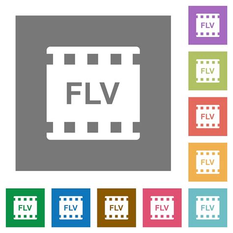 Image result for FLV File