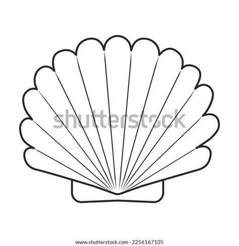 Image result for Shell Shape Outline