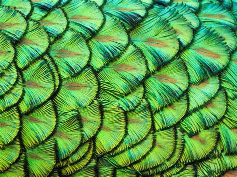 Image result for Live Python Classes